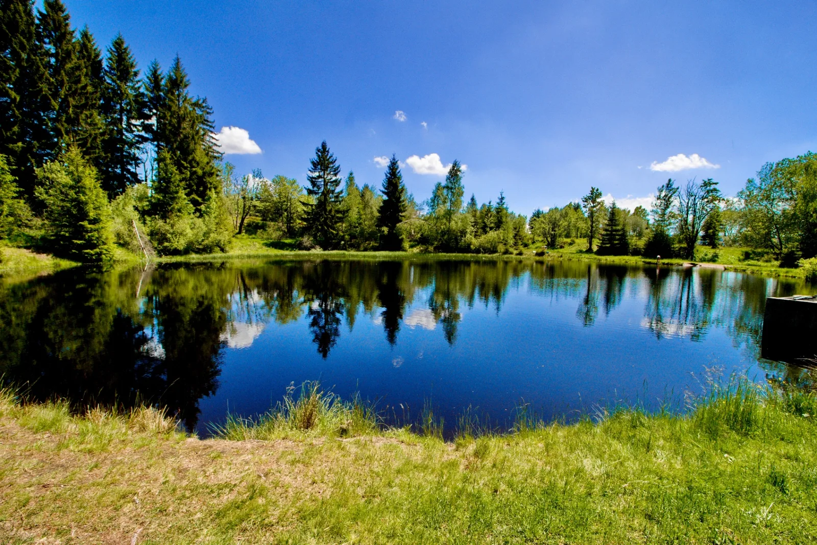 Jezero v přírodě