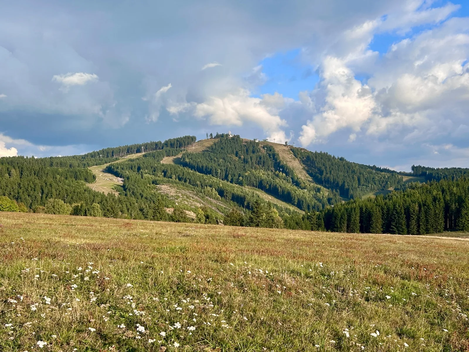 Letní krajina a hory